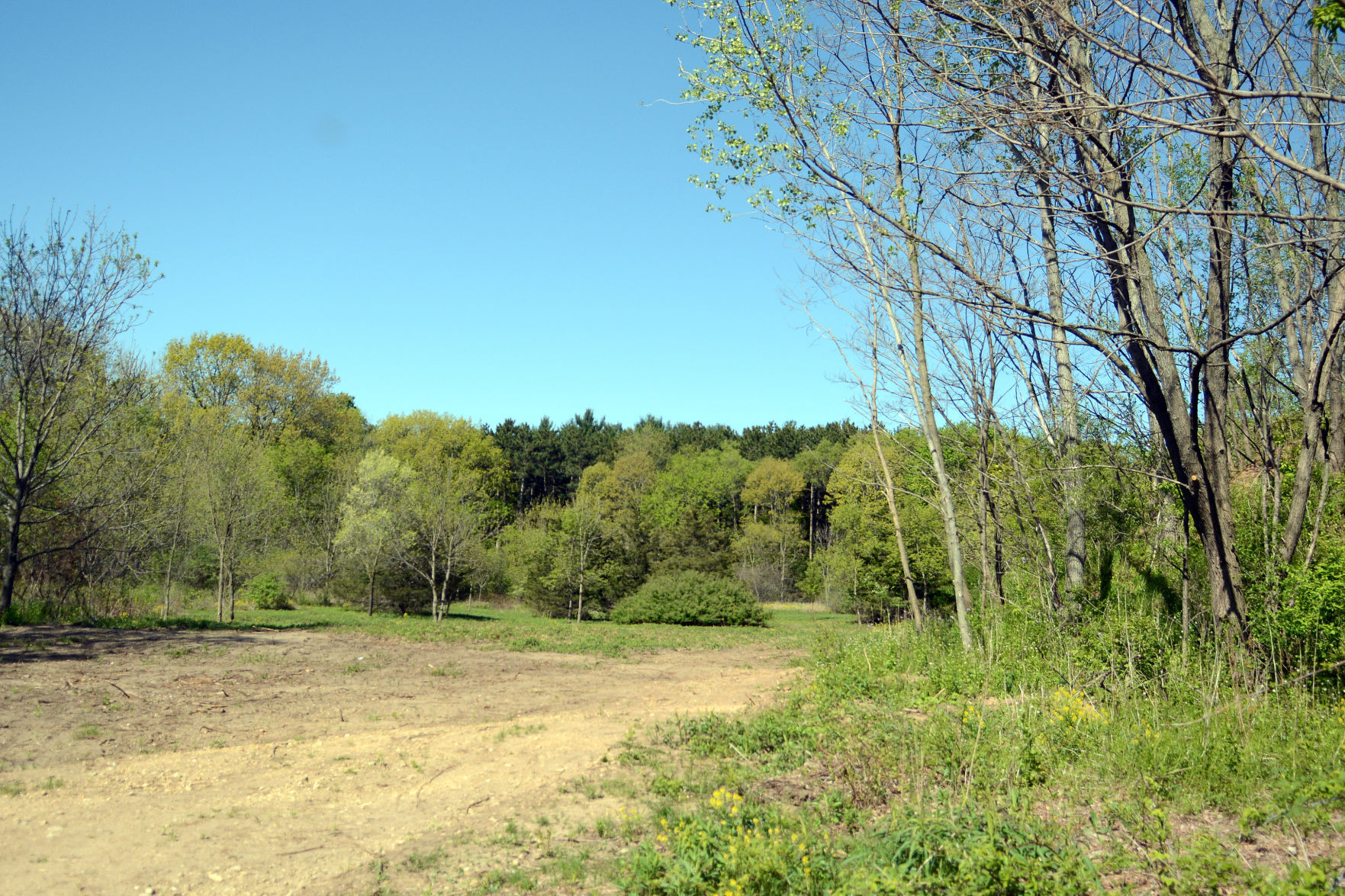 West Baraboo Village Forest